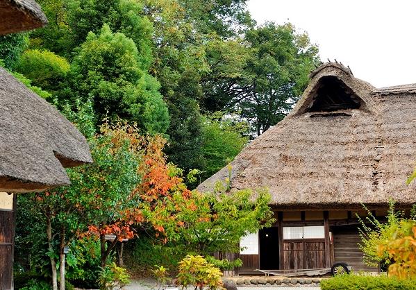 ¤ª¤µ¤´¤¨Ì±²È±à²ñ¾ì